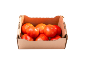 Kašeta paradižnik solatni (2 kg)