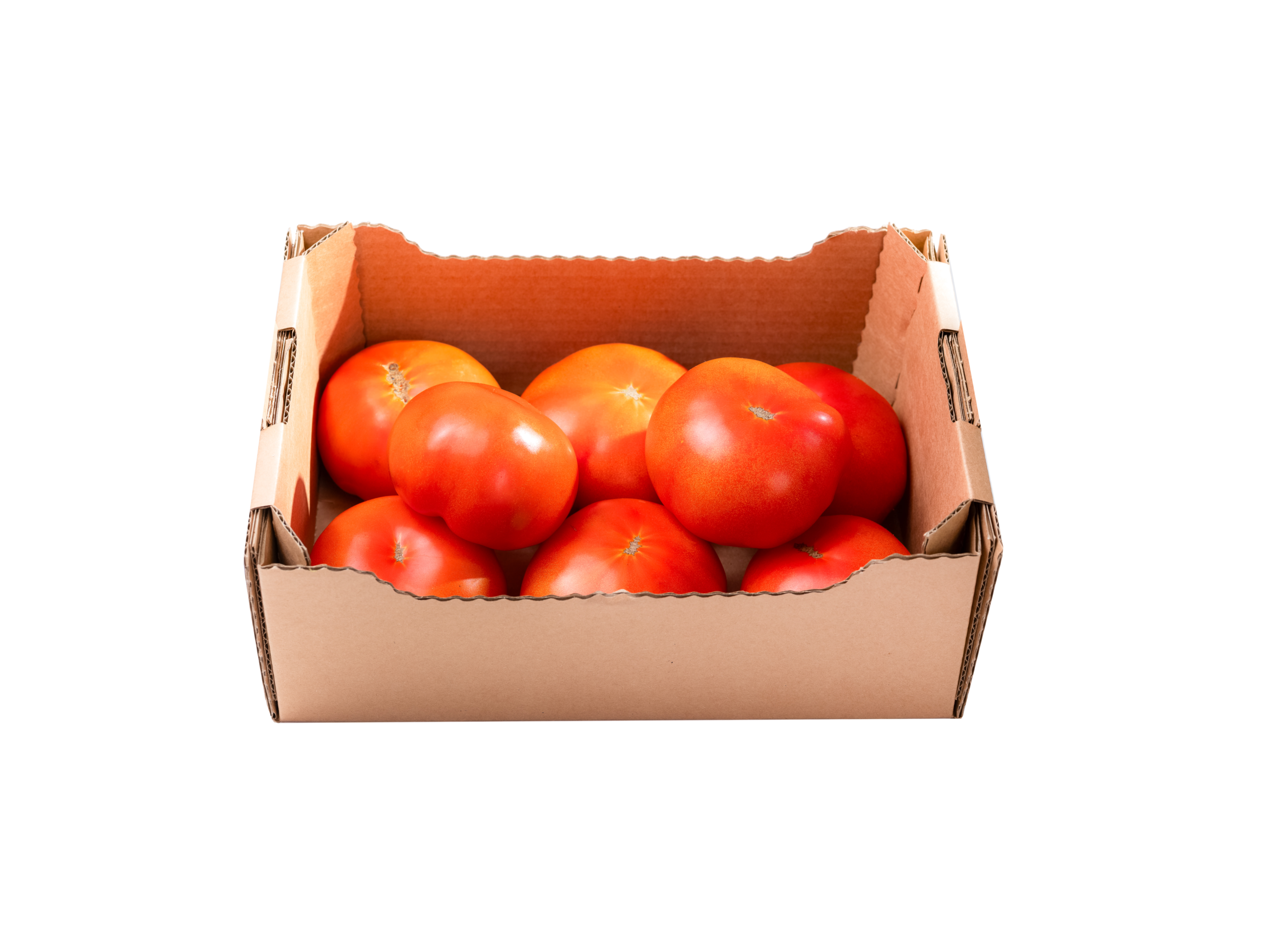 Kašeta paradižnik solatni (2 kg)