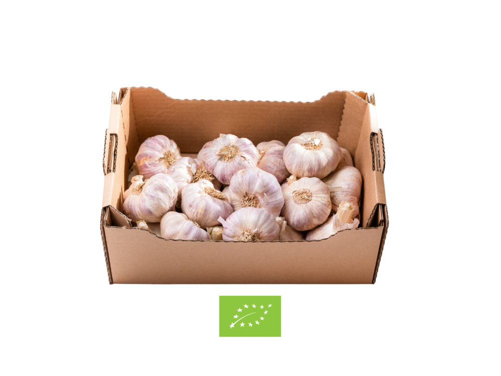Kašeta Česen iz Istre EKO - Rdeč (1 kg)