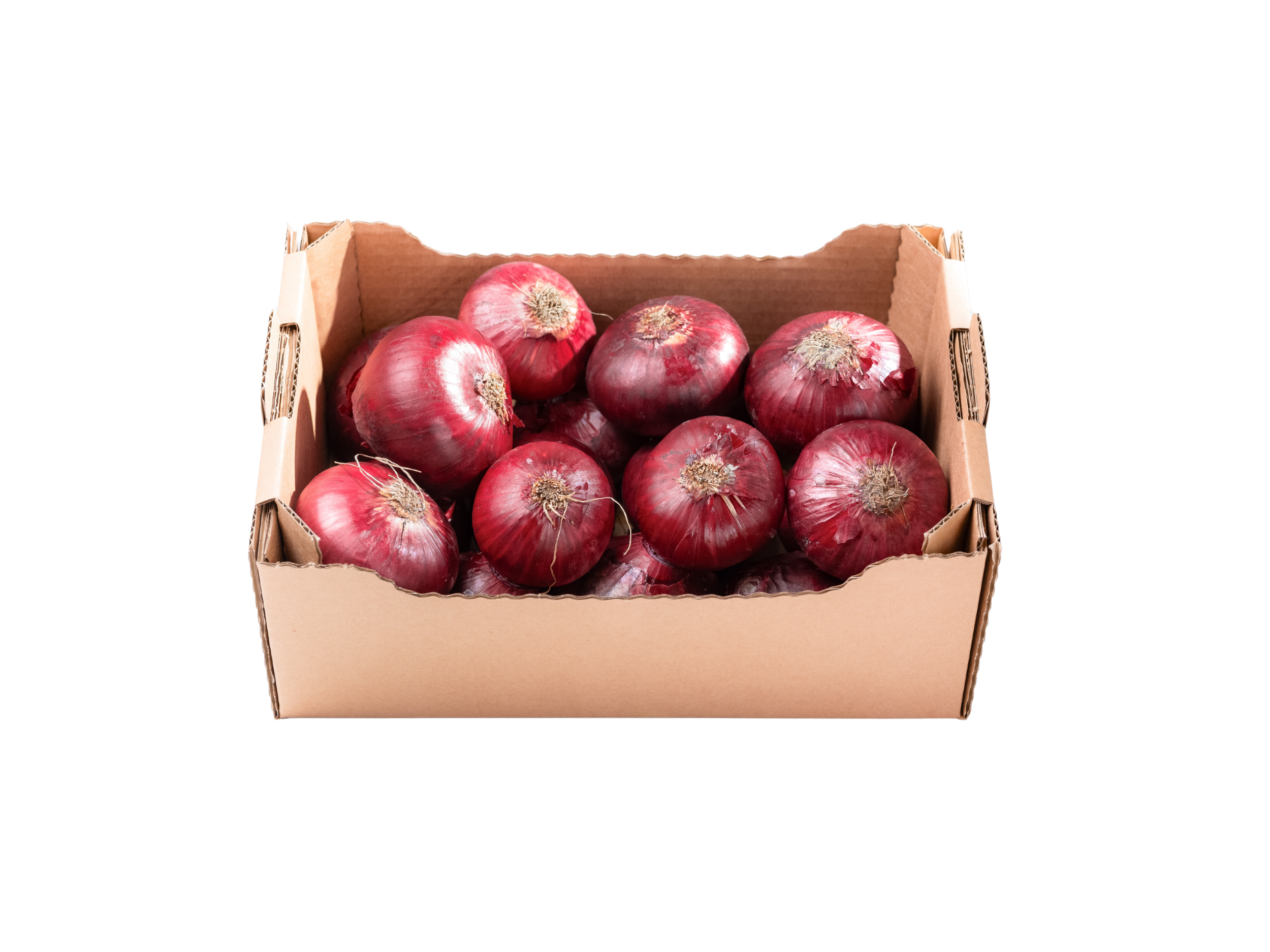 Kašeta čebula rdeča (2 kg)