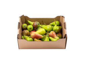 Kašeta hruške letne (2 kg)