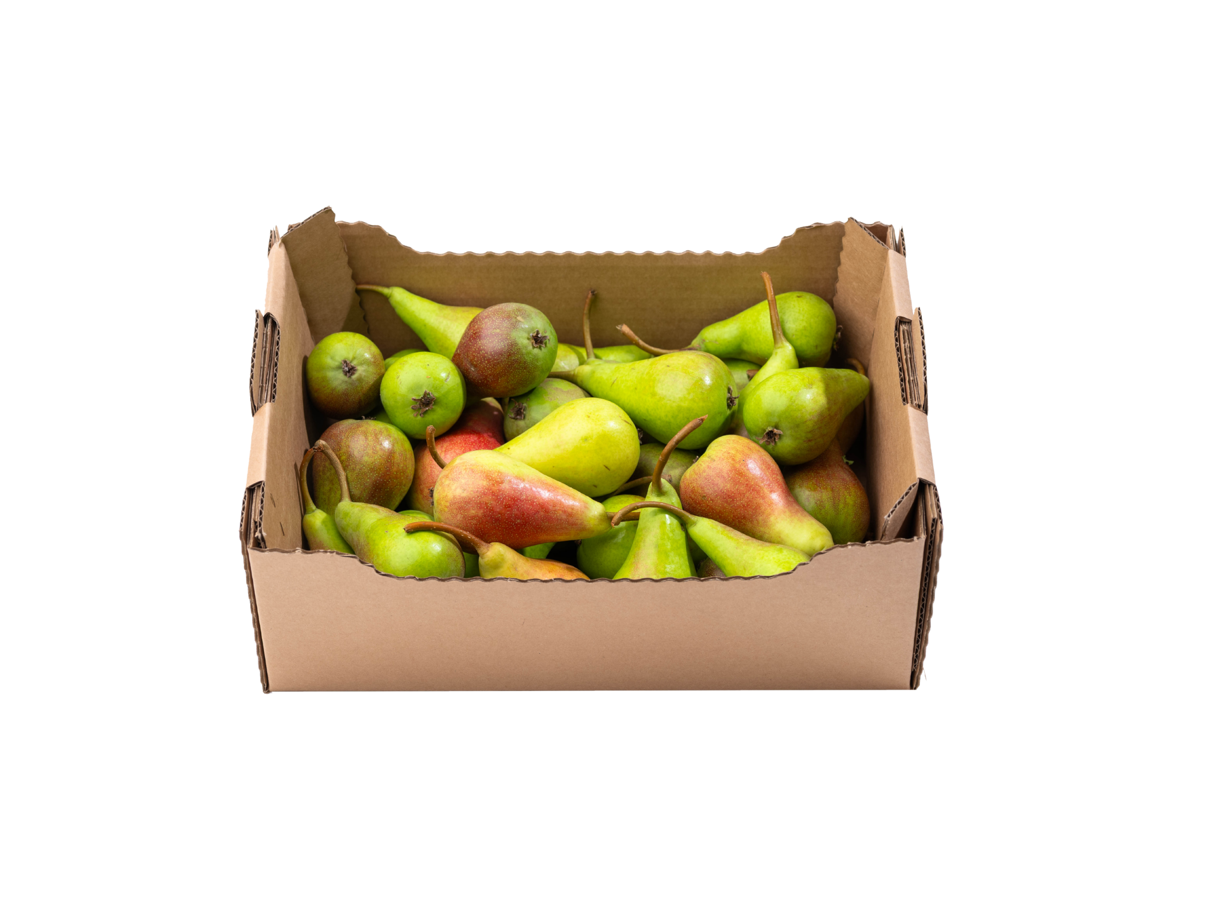 Kašeta hruške letne (2 kg)