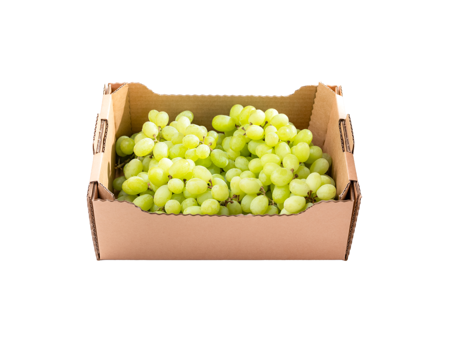 Kašeta grozdje belo domače (2kg)