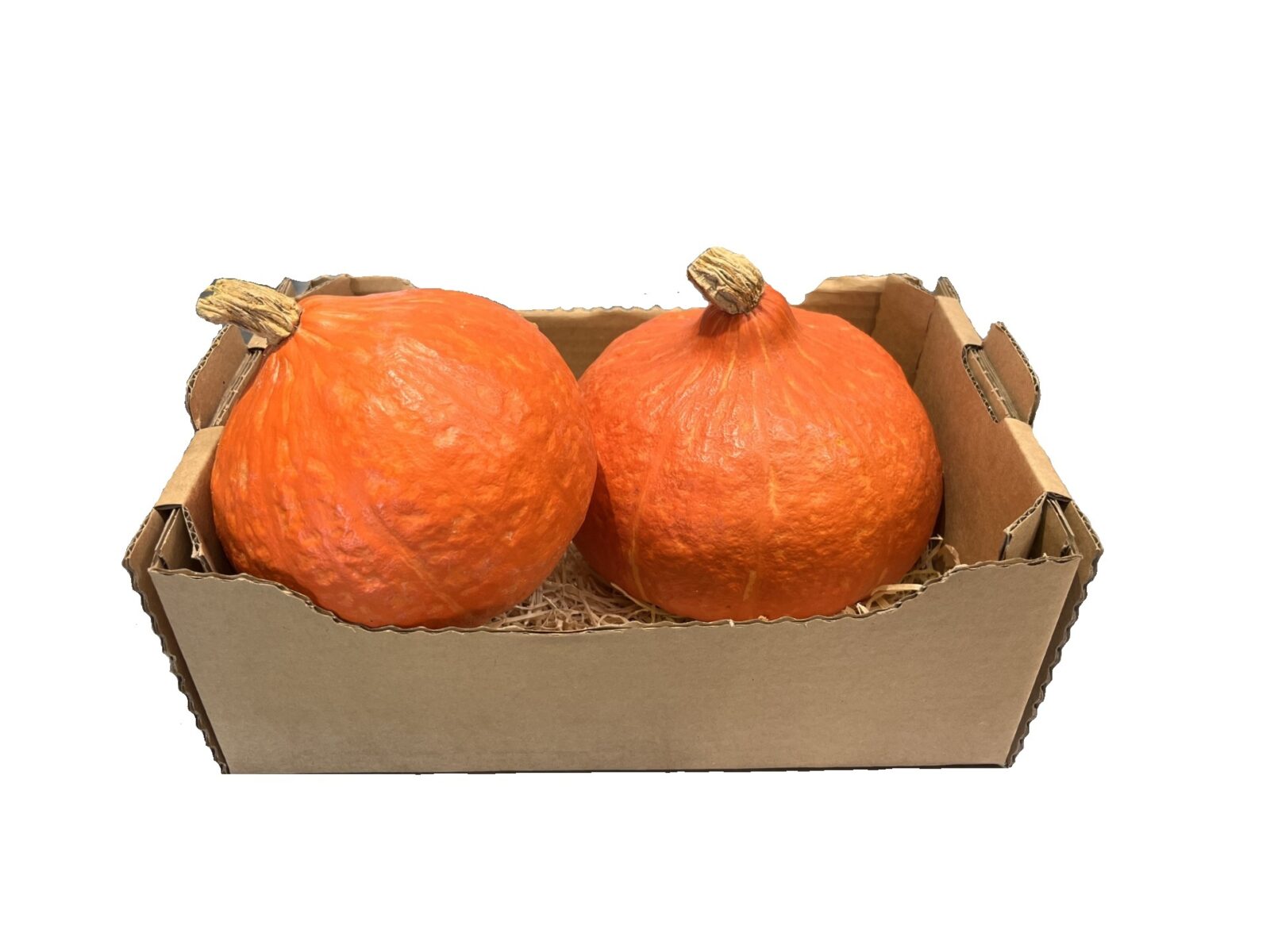 Kašeta buča hokaido domača EKO (2.5kg)