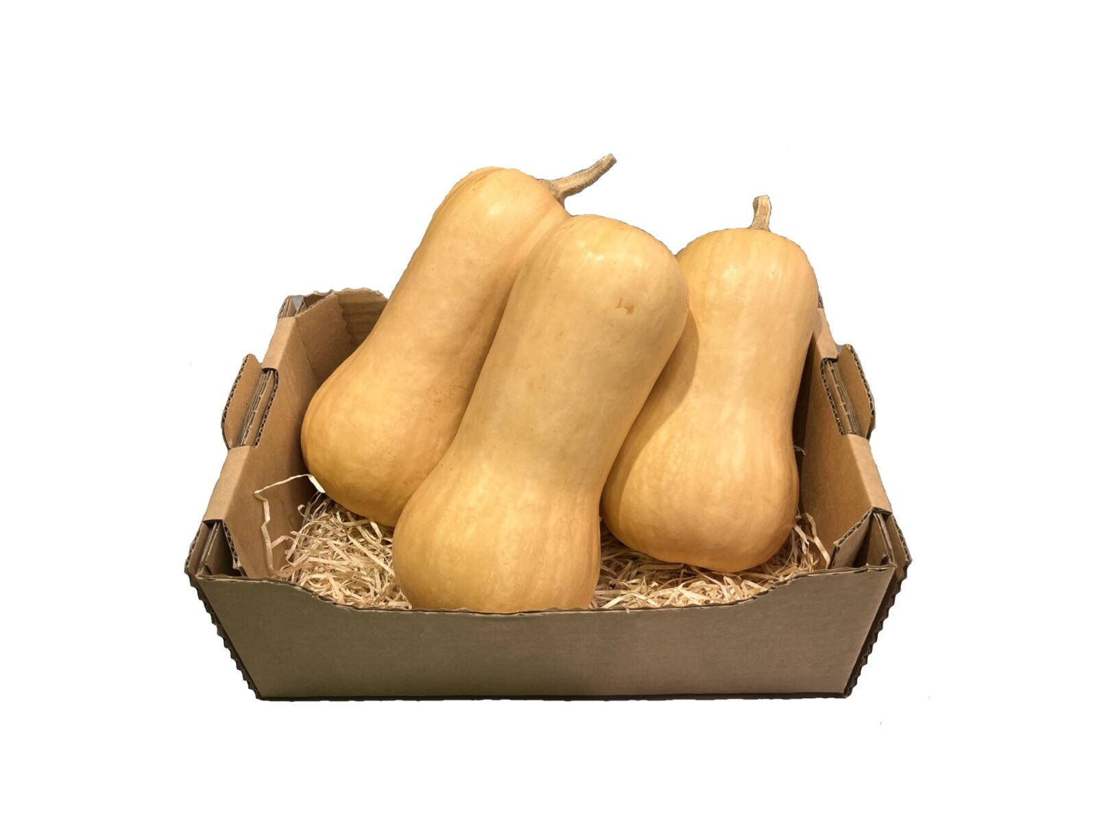 Kašeta buča maslenka domača EKO (2.5kg)