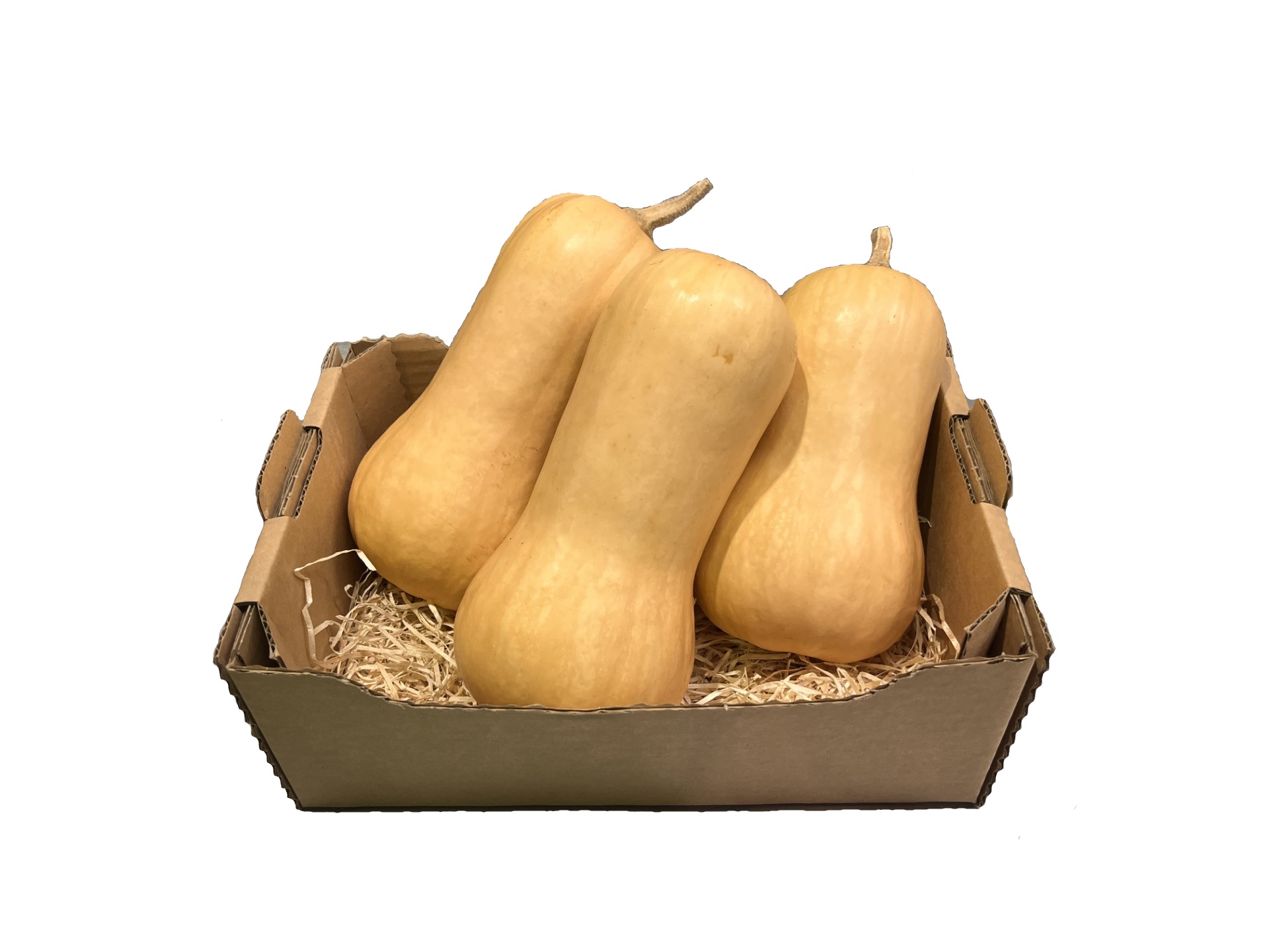 Kašeta buča maslenka domača EKO (2.5kg)